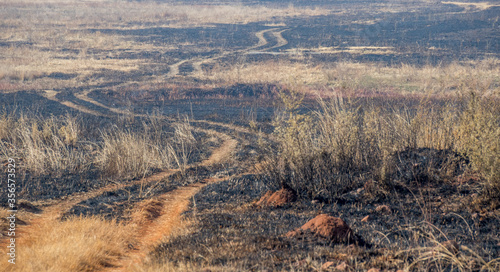Vehicle tracks meander through a burnt winter landscape on the Highveld of South Africa image in horizontal format
