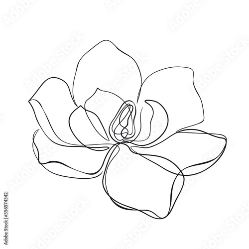 Magnolia flowers continuous line art. Abstract minimal hand drawing sketch. Vector illustration