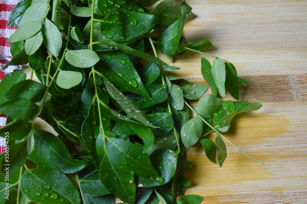 fresh curry leafs on wood chopping board for cooking fresh curry leafs on wood chopping board for cooking