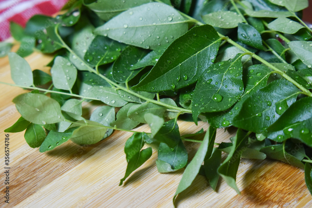 fresh curry leafs on wood chopping board for cooking fresh curry leafs on wood chopping board for cooking