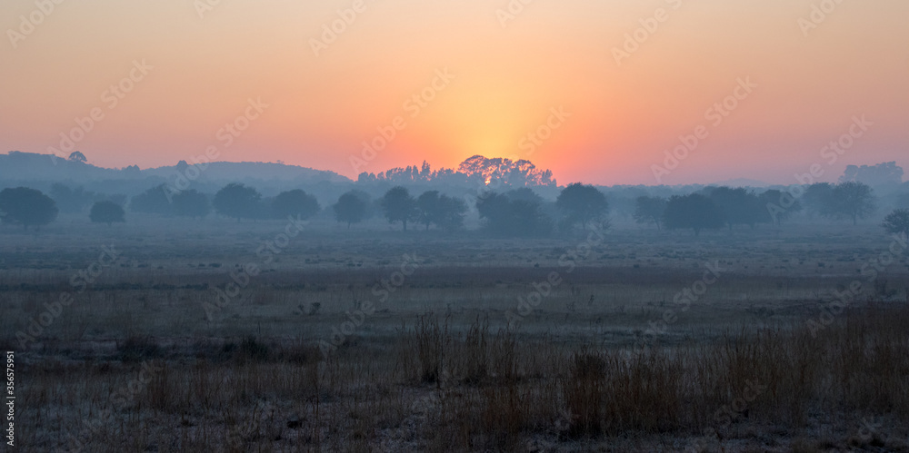 Fototapeta premium Mist and smog over a Highveld landscape on a cold winter morning in Gauteng, South Africa image in horizontal format