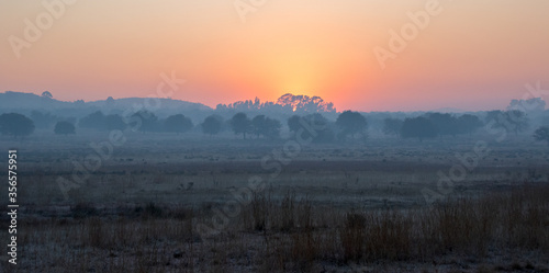 Mist and smog over a Highveld landscape on a cold winter morning in Gauteng, South Africa image in horizontal format