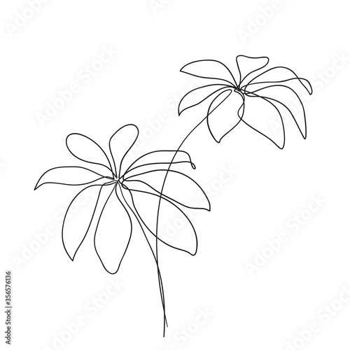 Hand drawn branch with leaves. One line drawing plants. Botanical leaves Continuous line art. Vector illustration photo