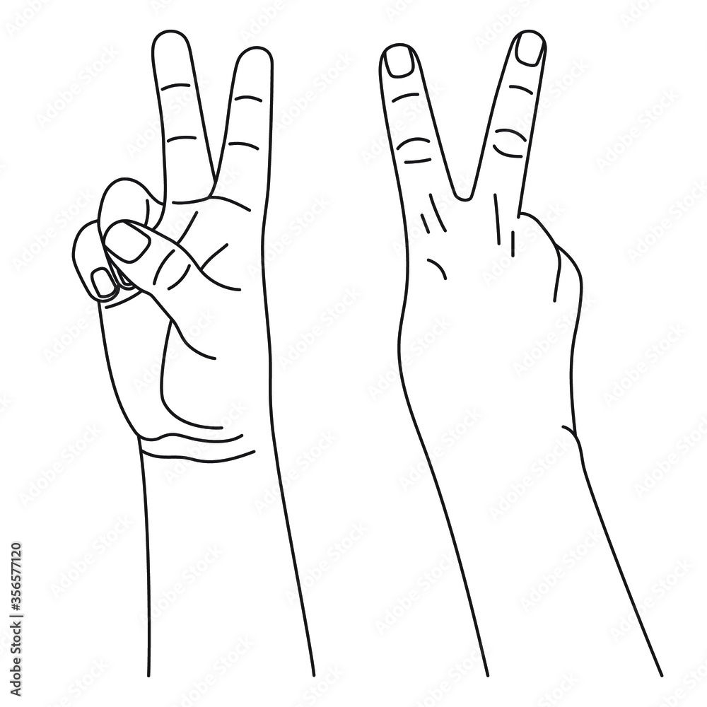 Number two, hand gesture in various sides view. Concept of finger counting on sign language. Vector illustration in outline style isolated on white background. Number two, hand gesture in various sides view. Concept of finger counting on sign language. Vector illustration in outline style isolated on white background.