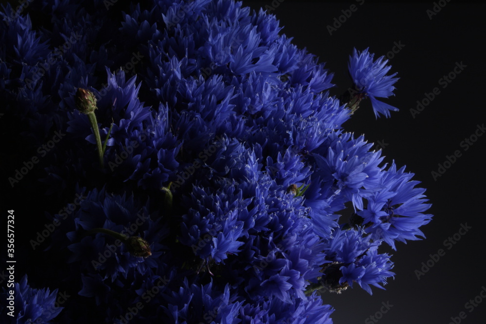 close-up of a fresh bouquet of wildflowers with blue petals, cornflowers