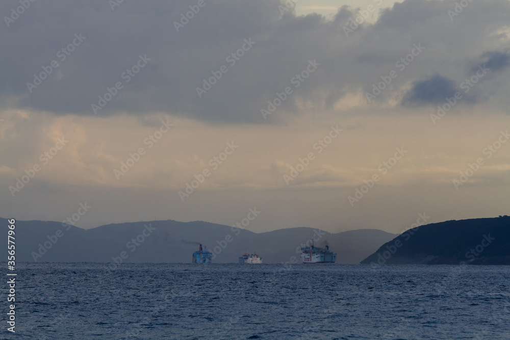 nature around the elba island nature around the elba island