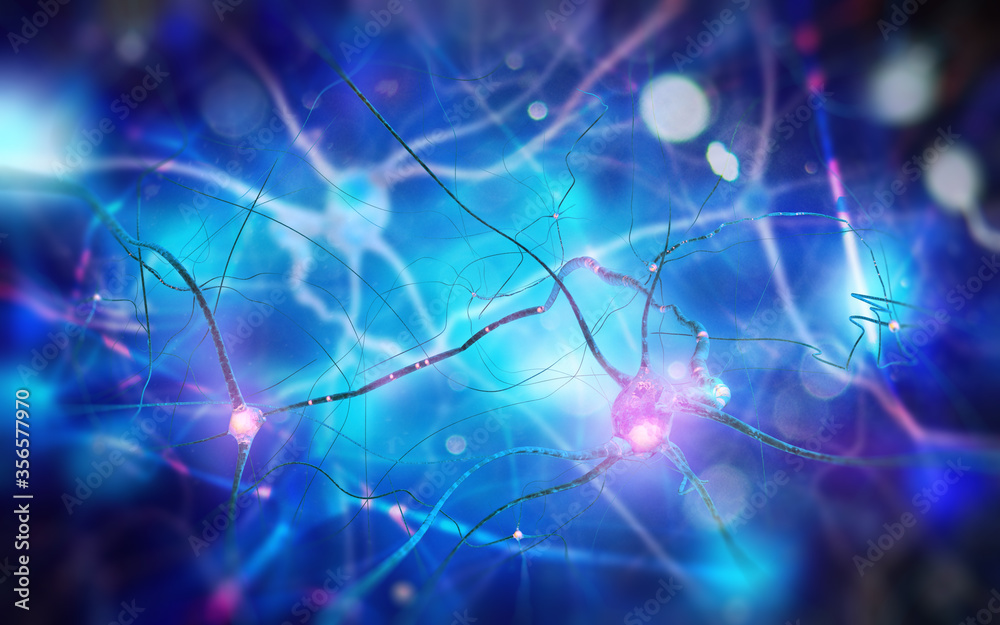 Neurons and nervous system Neurons and nervous system