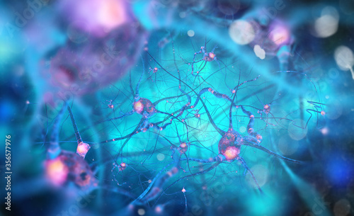 Neurons