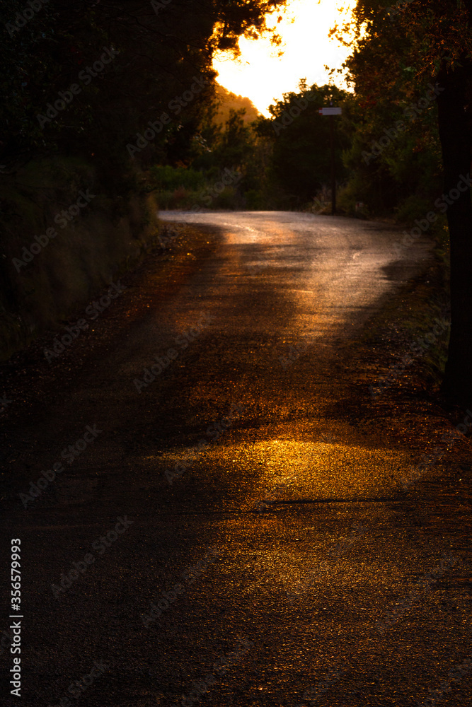 road in sunset light