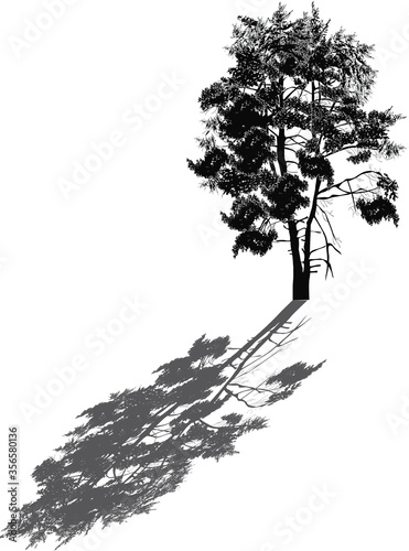 black one pine large silhouette with grey shadow