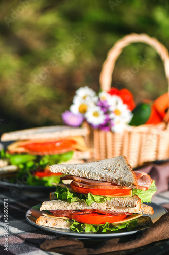 Picnic with sandwiches in park or forest. Toast bread, cheese, ham, sausage, tomatoes, salad leaves. Weekend party, sunny day