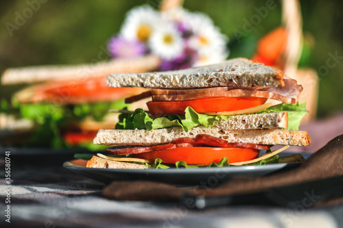 Picnic with sandwiches in park or forest. Toast bread, cheese, ham, sausage, tomatoes, salad leaves. Weekend party, sunny day
