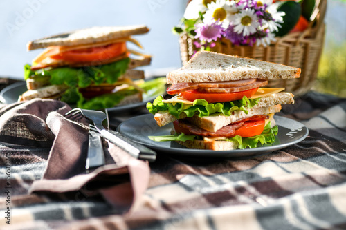 Picnic with sandwiches in park or forest. Toast bread, cheese, ham, sausage, tomatoes, salad leaves. Weekend party, sunny day