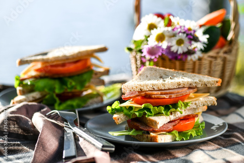 Picnic with sandwiches in park or forest. Toast bread, cheese, ham, sausage, tomatoes, salad leaves. Weekend party, sunny day