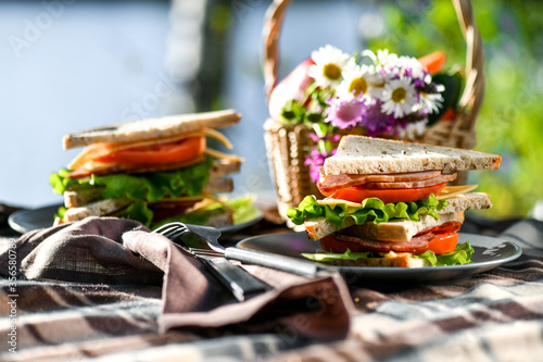 Picnic with sandwiches in park or forest. Toast bread, cheese, ham, sausage, tomatoes, salad leaves. Weekend party, sunny day