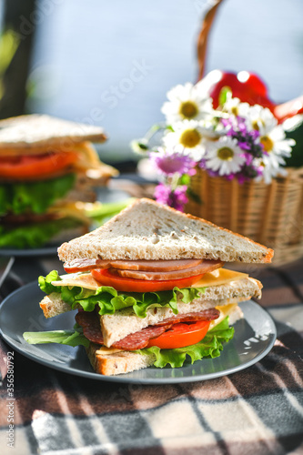 Picnic with sandwiches in park or forest. Toast bread, cheese, ham, sausage, tomatoes, salad leaves. Weekend party, sunny day