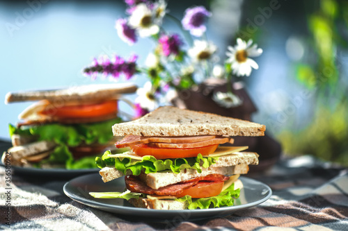 Picnic with sandwiches in park or forest. Toast bread, cheese, ham, sausage, tomatoes, salad leaves. Weekend party, sunny day