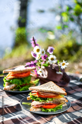 Picnic with sandwiches in park or forest. Toast bread, cheese, ham, sausage, tomatoes, salad leaves. Weekend party, sunny day