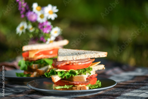 Picnic with sandwiches in park or forest. Toast bread, cheese, ham, sausage, tomatoes, salad leaves. Weekend party, sunny day