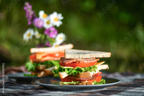 Picnic with sandwiches in park or forest. Toast bread, cheese, ham, sausage, tomatoes, salad leaves. Weekend party, sunny day
