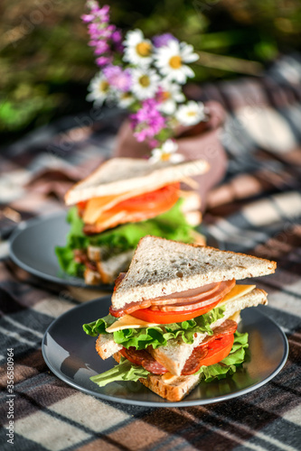 Picnic with sandwiches in park or forest. Toast bread, cheese, ham, sausage, tomatoes, salad leaves. Weekend party, sunny day
