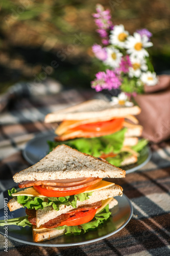 Picnic with sandwiches in park or forest. Toast bread, cheese, ham, sausage, tomatoes, salad leaves. Weekend party, sunny day