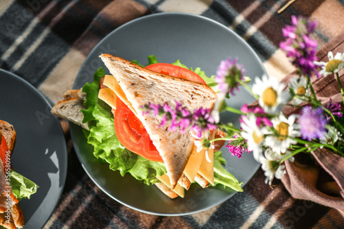 Picnic with sandwiches in park or forest. Toast bread, cheese, ham, sausage, tomatoes, salad leaves. Weekend party, sunny day