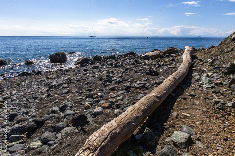 nature around the elba island