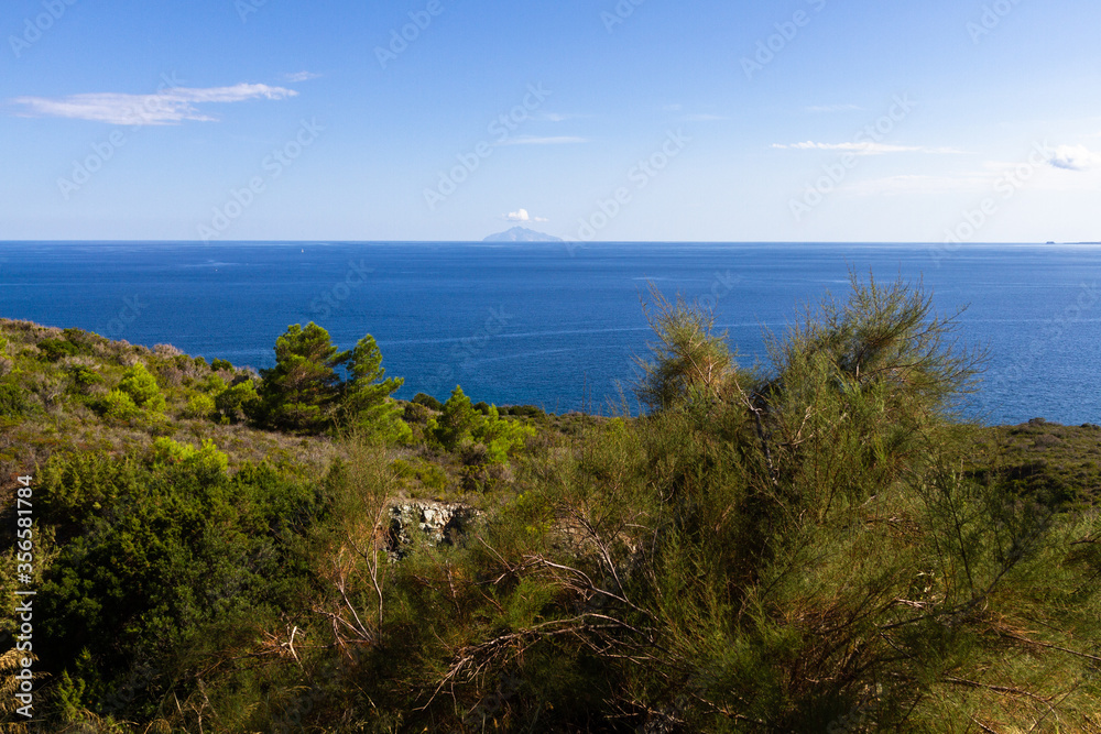 Fototapeta premium nature around the elba island