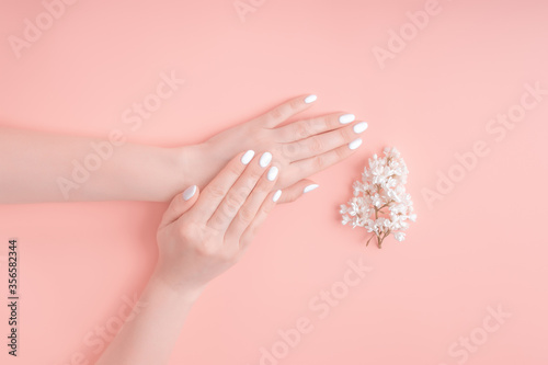 Beauty Hands of a woman with white flowers lies on table, pink background. Natural cosmetics product and hand care, moisturizing and wrinkle reduction, skincare