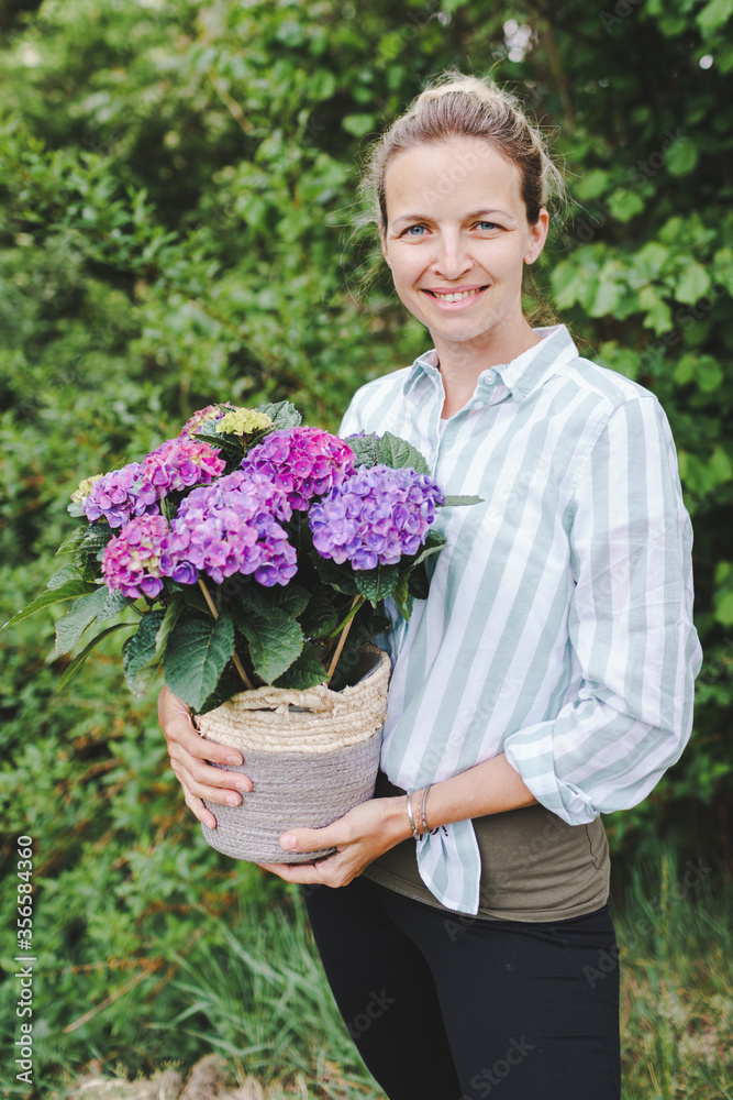 Fototapeta premium young pretty blonde woman is holding many purple hydrangeas in her hand in her garden and is happy