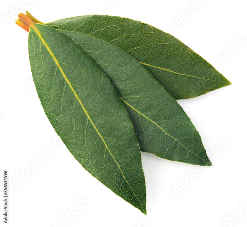 fresh bay leaves isolated on the white background  top view