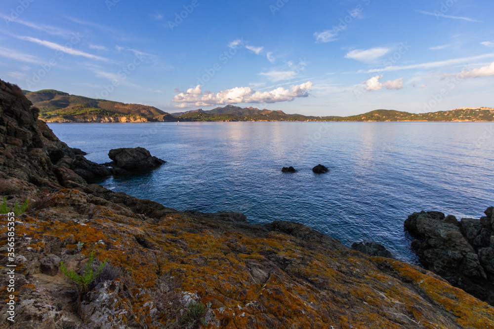 Fototapeta premium nature around the elba island