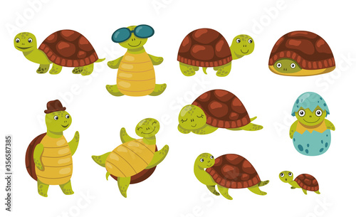 Cute funny turtle set. Adorable cartoon character walking, hatching, hiding, relaxing, sleeping. Flat vector illustration for animals or wildlife concept, books for children design
