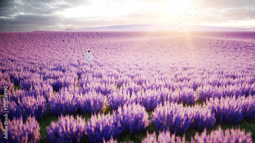 Astronaut with butterflies in lavender field. concept of future. broadcast. 3d rendering.