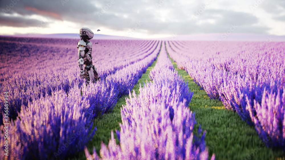 Obraz premium Military robot, cyborg with gun in lavender field. concept of the future. 3d rendering.