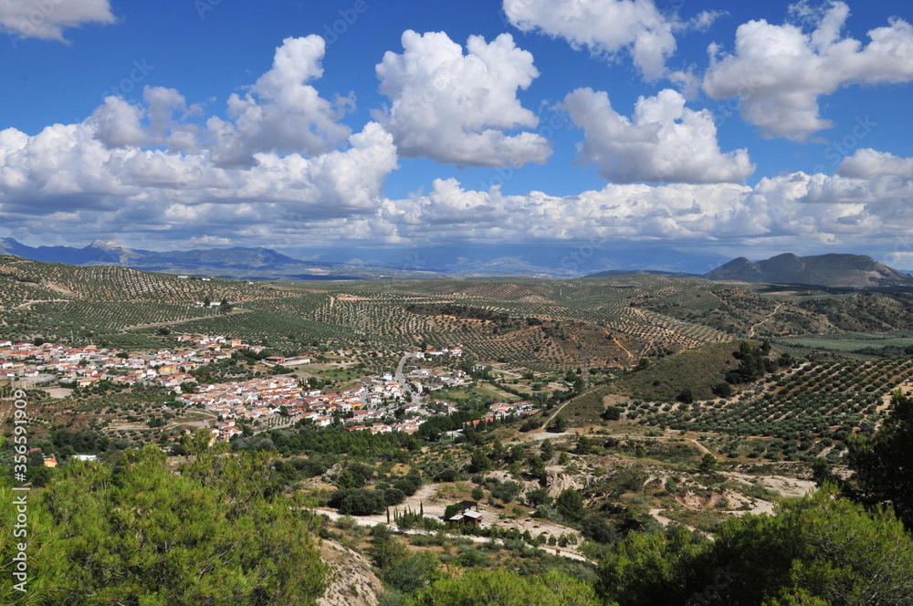 Andalusian landscape, olive- and almond-trees, near Moclín, Montes de Granada, Spain