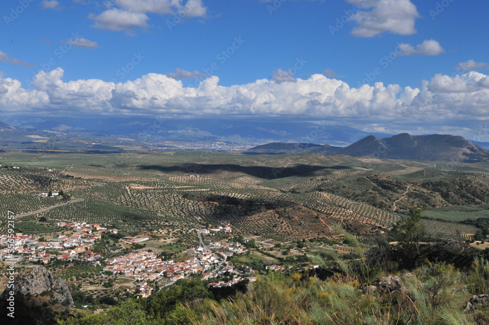 Andalusian landscape, olive- and almond-trees, near Moclín, Montes de Granada, Spain