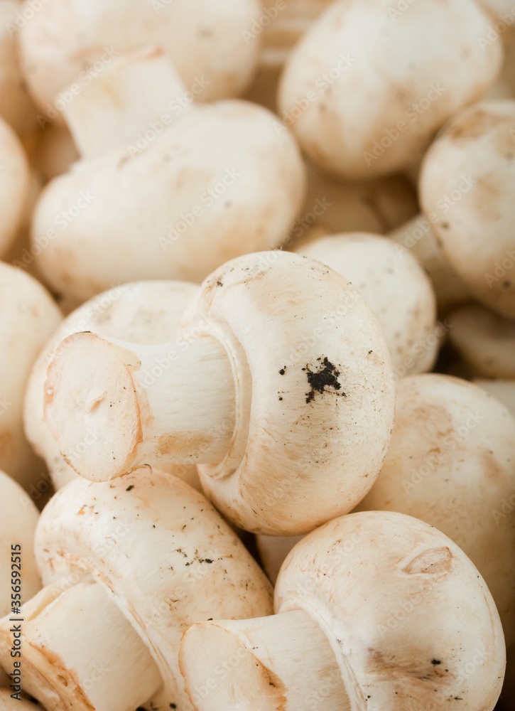 mushrooms mushrooms