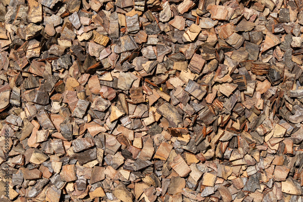 Life hack. Prepared in boile water pine bark as soil for orchids. A lot cut pieces of pine tree bark wood. Mulch for orchids showing natural texture. Life hack. Prepared in boile water pine bark as soil for orchids. A lot cut pieces of pine tree bark wood. Mulch for orchids showing natural texture.