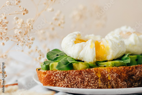 sandwich with avocado, arugula and poached egg sprinkled with nigella decorated with small gypsophila flowers
