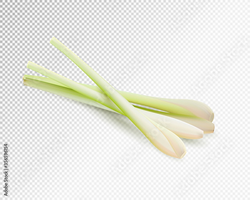 Lemongrass herb vegetable set. Realistic vector on transparent background, 3d illustration