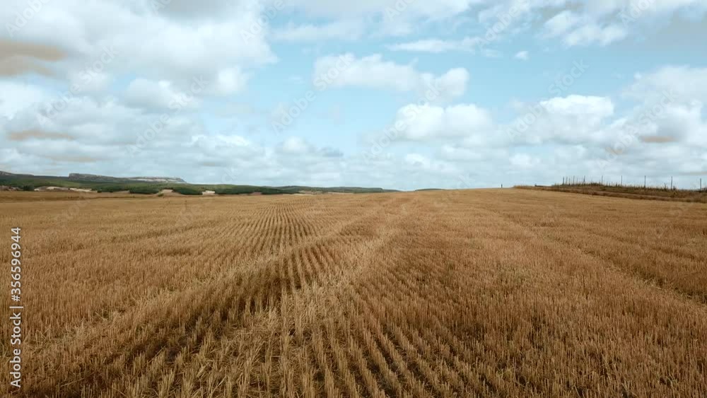 Fields of Castile, low flight, Palencia, Spain. Fields of Castile, low flight, Palencia, Spain.