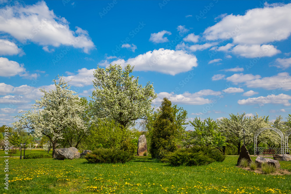 Obraz premium Spring in the city park