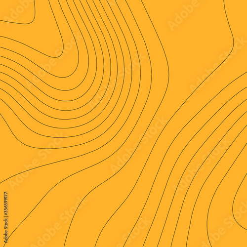 Elevation map. Topographic background. Vector illustretion. photo