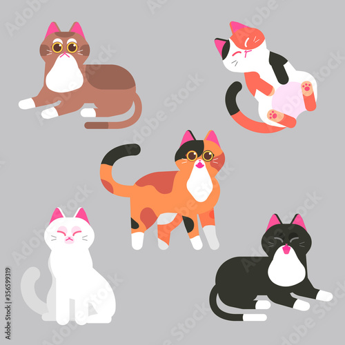 고양이 일러스트 벡터