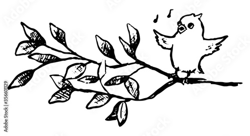 Cute bird sits on branch and sings. Hand drawn vector illustration. Doodle, sketching animals. Black contour drawing isolated on white. Primitive style, single picture for design, print, card, sticker
