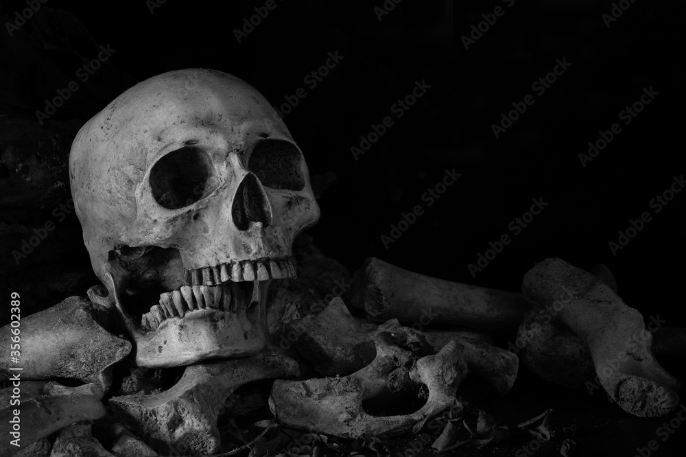 Fototapeta premium Skulls and bone put on decay timber and dark floor in old room which has dim light and dark background