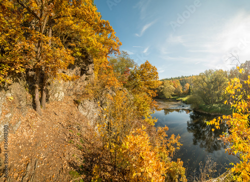 view from slope on the side of river with dusty footpath partly covered with colorful leaves in autumn