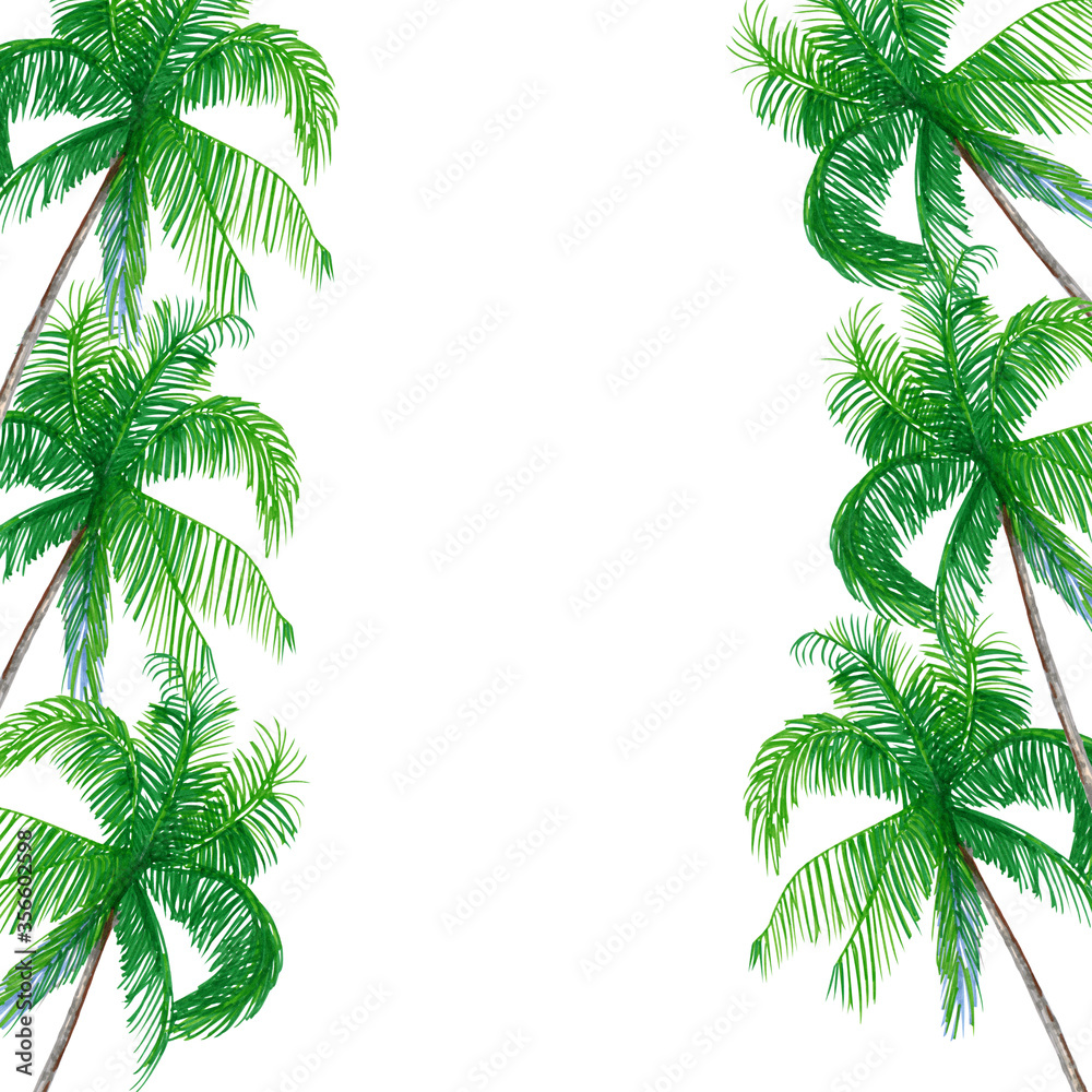 Fototapeta Palm trees on a white background. Tropical card.